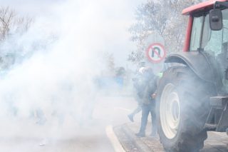 agrotes - mat - thessaloniki 12-2025